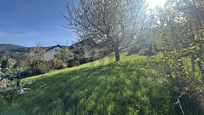 Foto - Grundstück zum Kaufen in Bühlertal