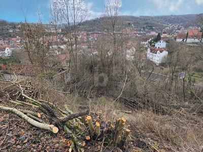 Foto - Grundstück in Schmalkalden zum Kaufen