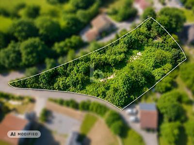 Foto - TRAUMSTÜCK IN DER FRÄNKISCHEN LANDSCHAFT
