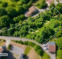 TRAUMSTÜCK IN DER FRÄNKISCHEN LANDSCHAFT - Priesendorf