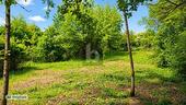 Foto - Grundstück in Priesendorf