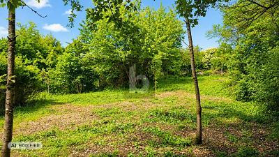 Foto - Grundstück in Priesendorf