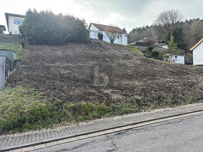 Foto - Grundstück in Beckingen zum Kaufen