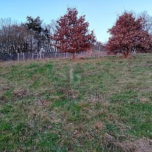 Foto - Grundstück in Kinderbeuern