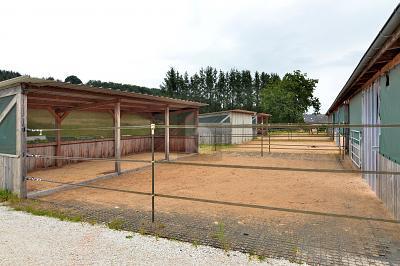 Foto - Einfamilienhaus mit 280,00 m&sup2; in Meckenbach zum Kaufen