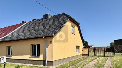 Foto - DIE FINDLINGE WEISEN DEN WEG NACH HAUSE
