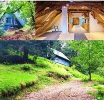 IDYLLISCH UND ROMANTISCH - 400.000,00&nbsp;EUR Kaufpreis, ca.&nbsp; 150,00&nbsp;m&sup2;&nbsp;Wohnfl&auml;che in Lauterbach (PLZ: 78730)