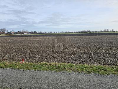 Foto - Grundstück in Fehmarn zum Kaufen