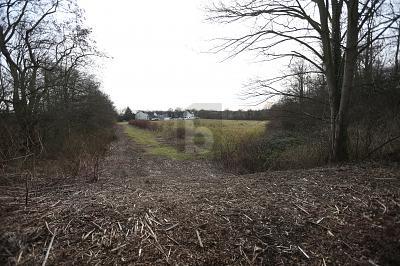 Foto - PERFEKT FÜR SOLAR & WINDPARK - 240.000,00&nbsp;EUR Kaufpreis, ca.&nbsp; 23.360,00&nbsp;m&sup2;