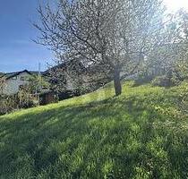 IDYLLE IN NATUR UND STADT - 169.000,00&nbsp;EUR Kaufpreis, ca.&nbsp; 589,00&nbsp;m&sup2; in Bühlertal (PLZ: 77830)