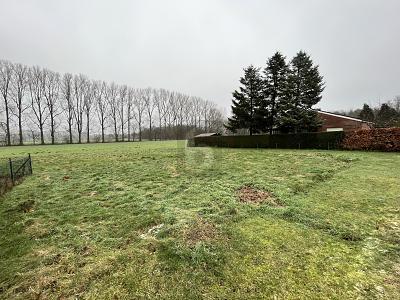 Foto - EXKLUSIVER TRAUM: IHR PERSÖNLICHES PARADIES
