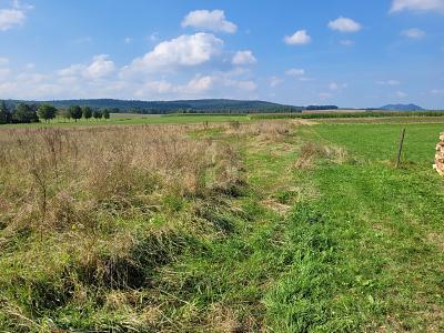 Foto - Grundstück zum Kaufen in Großlittgen