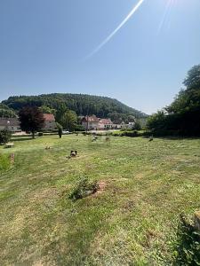 Foto - Grundstück in Beckingen