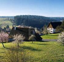 IHR ZUHAUSE ZWISCHEN APFELBÄUMEN - Alpirsbach