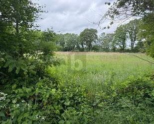 IDEAL FÜR FREIZEIT IN DER NATUR - Lutzhorn