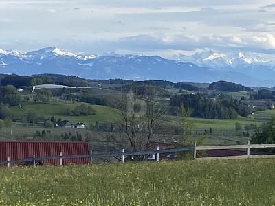 Foto - Grundstück in Grünkraut