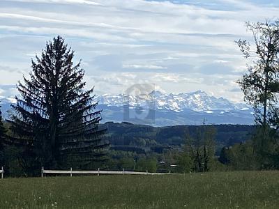 Foto - Grundstück in Grünkraut zum Kaufen