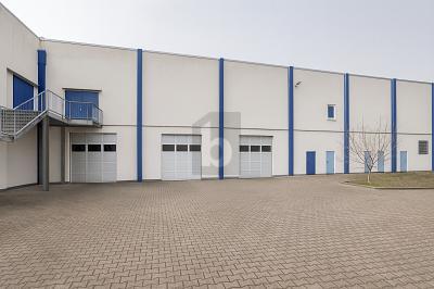 Foto - Halle in Colditz zum Kaufen