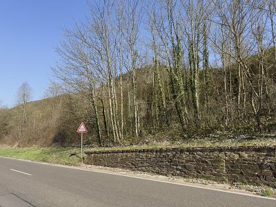 Foto - 531QM EXKLUSIVES MOSELGOLDSTÜCK IN BESTLAGE