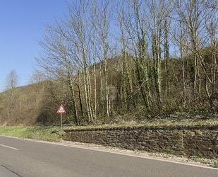 531QM EXKLUSIVES MOSELGOLDSTÜCK IN BESTLAGE - Bullay