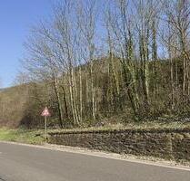 531QM EXKLUSIVES MOSELGOLDSTÜCK IN BESTLAGE - Bullay