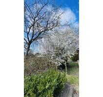 DIE LETZTEN BEIDEN HIER IM NEUBAUGEBIET - Kellinghusen