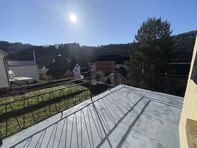 Foto - Einfamilienhaus mit 264,00 m&sup2; in Malberg zum Kaufen