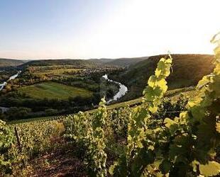 EXKLUSIVE UND SONNIGE LAGE MIT WEINBERG-AUSSICHT - Wiltingen