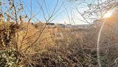 Foto - Grundstück in Sonneberg