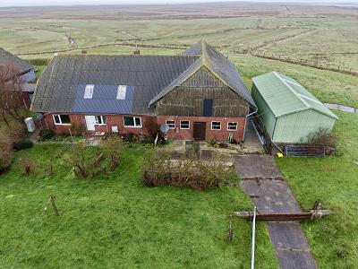 Foto - 5 Zimmer Einfamilienhaus zum Kaufen in Langeneß