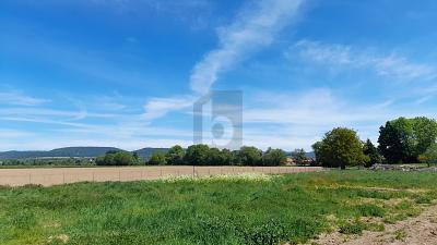 Foto - 18 Zimmer Mehrfamilienhaus, Wohnhaus in Hessisch Oldendorf