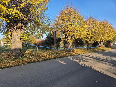 Foto - Grundstück in Zierow