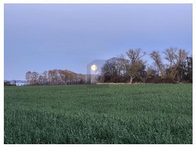 Foto - Grundstück zum Kaufen in Zierow