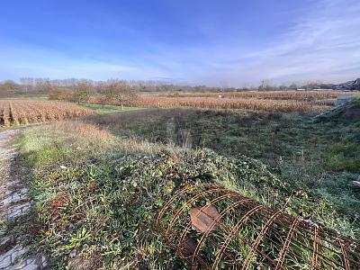 Foto - Grundstück in Dettenheim