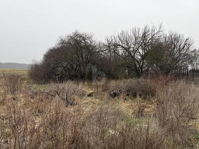 Foto - Grundstück in Meuro