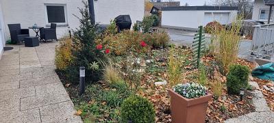 Foto - Mehrfamilienhaus, Wohnhaus mit 232,00 m&sup2; in Warstein zum Kaufen