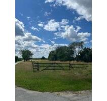 VIEL PLATZ FÜR DIE GANZE FAMIMIE IN IDYLLISCHER LAGE - Hollern-Twielenfleth