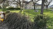 Foto - ERHOLUNGSWERT IN IDYLLISCHER LAGE VON WUTACH