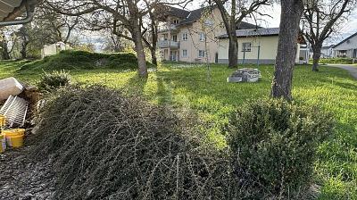 Foto - ERHOLUNGSWERT IN IDYLLISCHER LAGE VON WUTACH
