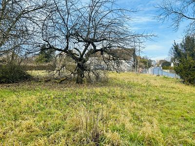 Foto - Grundstück in Buttenheim zum Kaufen