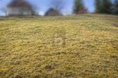 Foto - NATURNAH BAUEN IN BAIERSBRONN - 69.000,00&nbsp;EUR Kaufpreis, ca.&nbsp; 550,00&nbsp;m&sup2;
