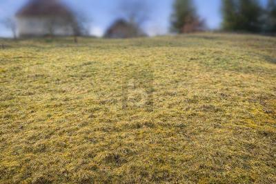 Foto - NATURNAH BAUEN IN BAIERSBRONN - 69.000,00&nbsp;EUR Kaufpreis, ca.&nbsp; 550,00&nbsp;m&sup2;