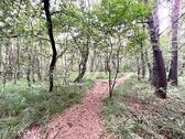 Foto - Freizeitgrundstück in Pinneberg