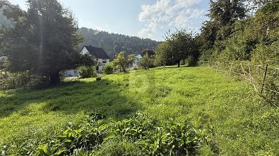 Foto - VIEL PLATZ FÜR IHRE BAUPLÄNE - 100.000,00&nbsp;EUR Kaufpreis, ca.&nbsp; 2.035,00&nbsp;m&sup2;