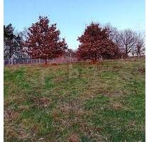 BAUEN MIT BLICK INS ALFTAL - 89.500,00&nbsp;EUR Kaufpreis, ca.&nbsp; 1.404,00&nbsp;m&sup2; in Kinderbeuern (PLZ: 54538)