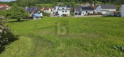 Foto - Grundstück zum Kaufen in Albershausen