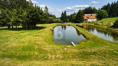 Foto - SELTENE FISCHTEICHANLAGE MIT FISCHEREIRECHT