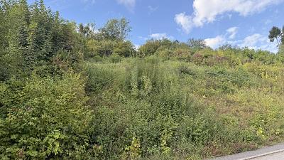 Foto - Grundstück zum Kaufen in Welschbillig