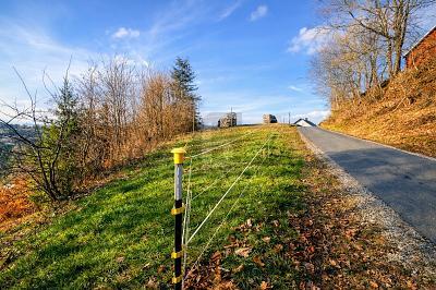 Foto - Grundstück in Pegnitz zum Kaufen