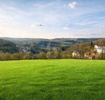 LEBENSQUALITÄT IN NATURNAHE UMGEBUNG - Pegnitz